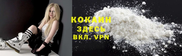 хмурый Мегион