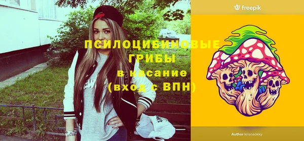 дживик Медногорск