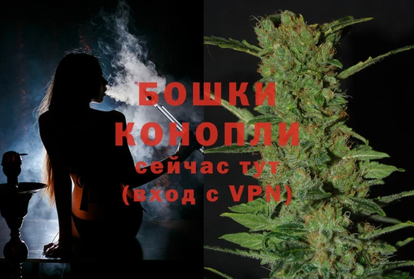 PSILOCYBIN Медвежьегорск