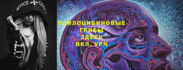 PSILOCYBIN Медвежьегорск