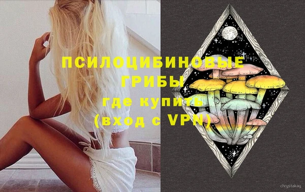 хмурый Мегион
