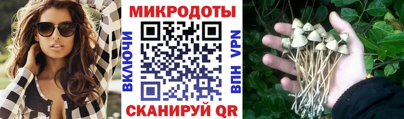 Псилоцибиновые грибы Psilocybe  как найти наркотики  Таруса 